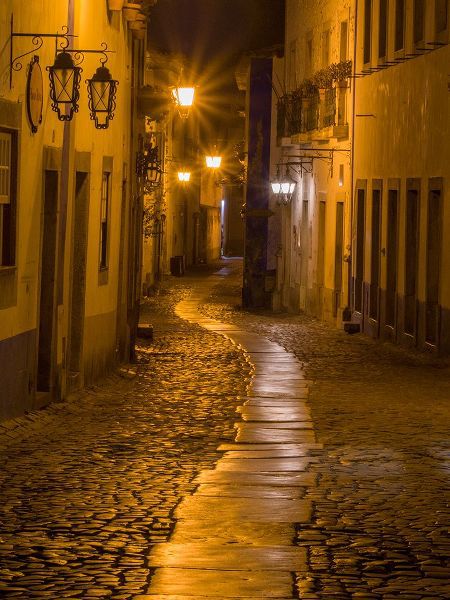 Eggers, Julie 아티스트의 Portugal-Obidos-Walkway along the walled town of Obidos at night작품입니다.